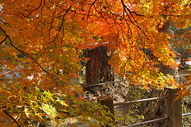 f0214649_2535435.jpg