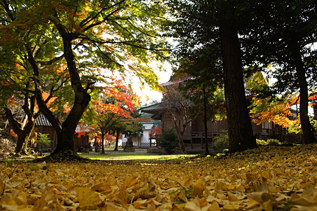f0214649_2553977.jpg