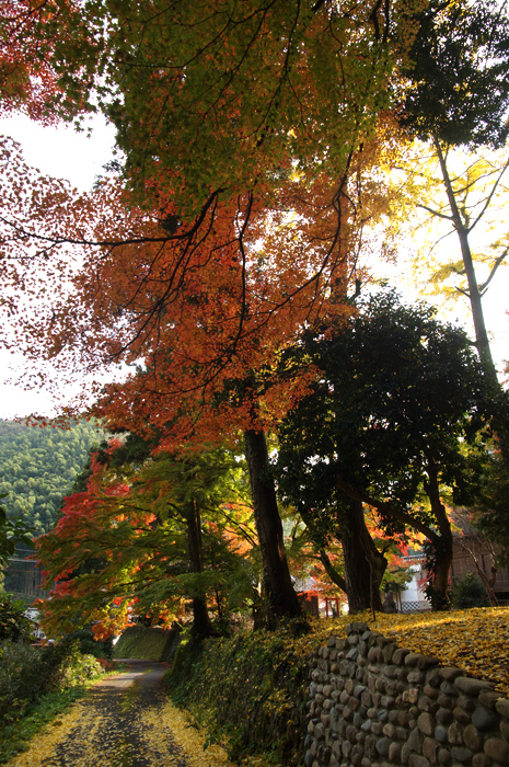 f0214649_2583195.jpg