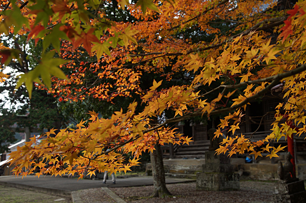 f0214649_304586.jpg