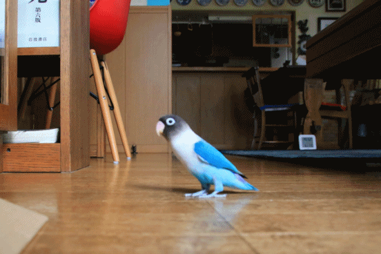 c0145250_10455439.gif