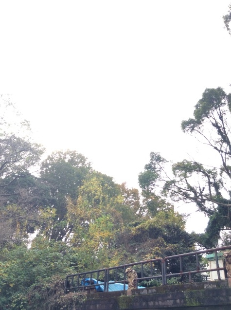 c0340351_14074661.jpeg