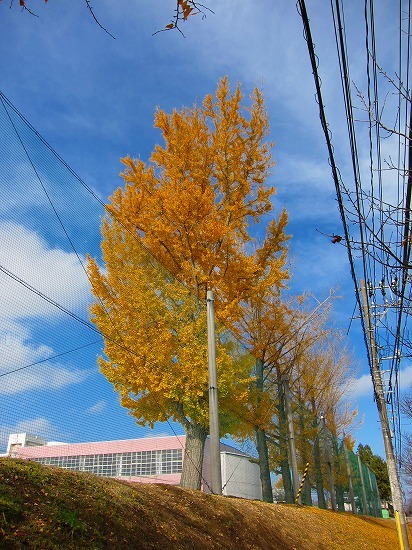 c0327752_14280503.jpg