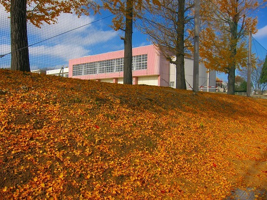 c0327752_14284623.jpg