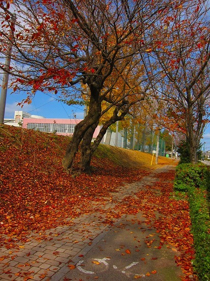 c0327752_14294878.jpg