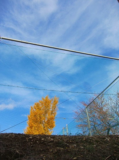 c0327752_14321638.jpg