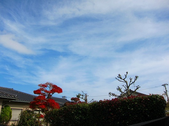 c0327752_14325678.jpg