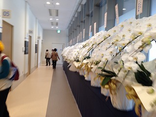 d0031853_1753147.jpg