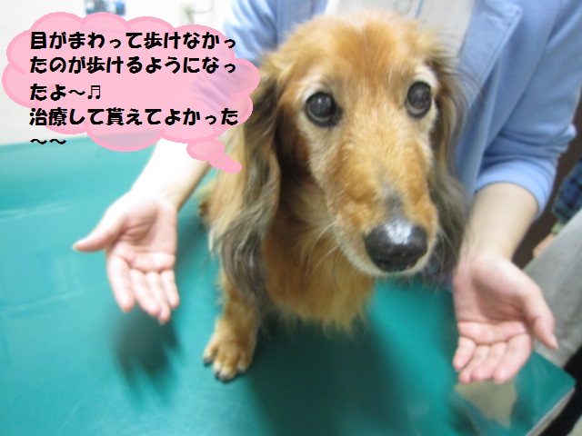 b0059154_1502533.jpg