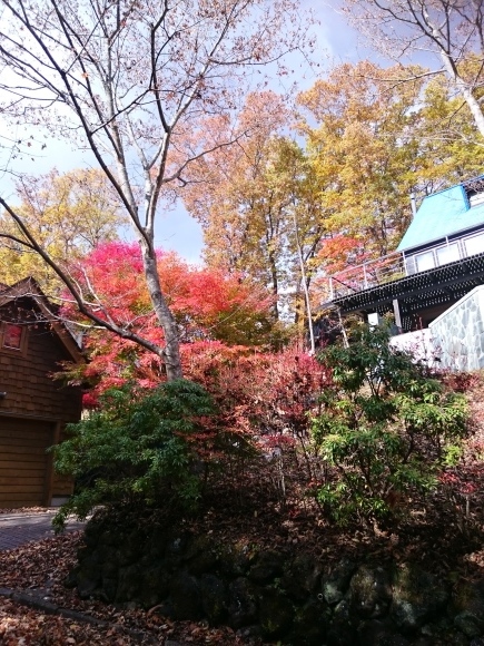 b0242873_18414501.jpg