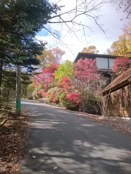 b0242873_18421089.jpg