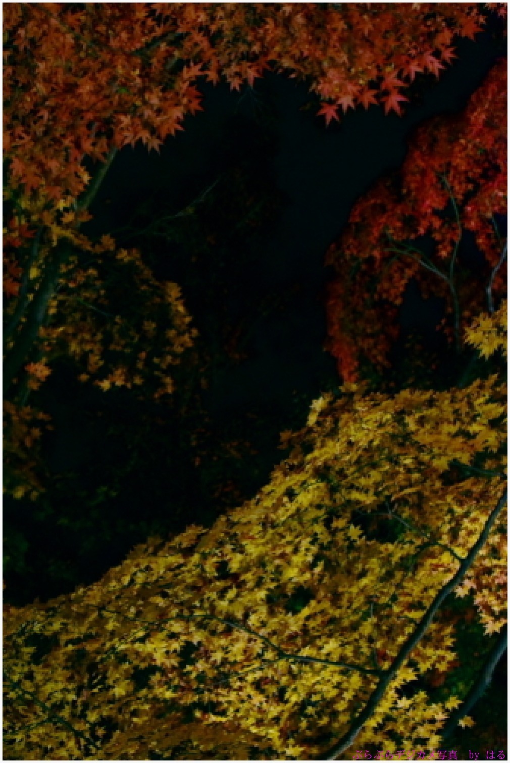 b0104774_00035776.jpg