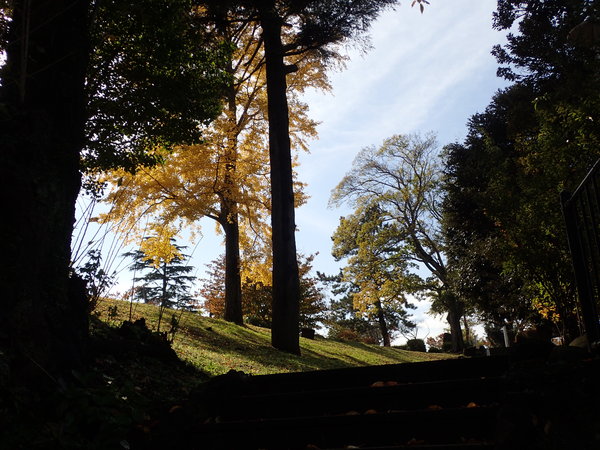 c0286574_11472416.jpg