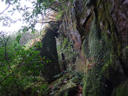 d0182075_05190148.jpg