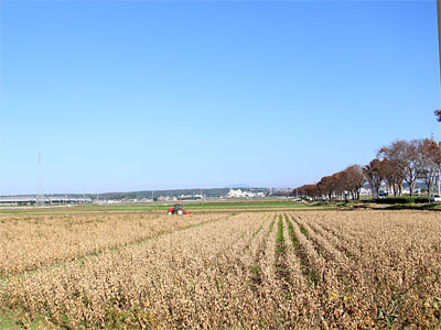 c0152779_11495713.jpg