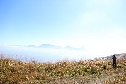 c0152779_11552581.jpg