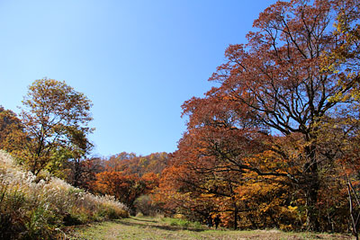 c0152779_1211524.jpg