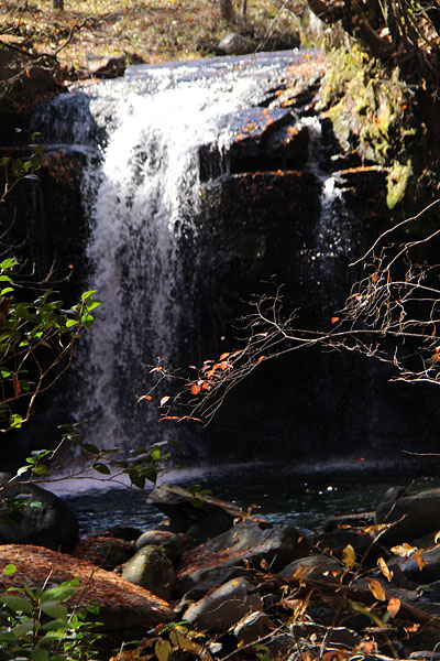 c0152779_1219168.jpg