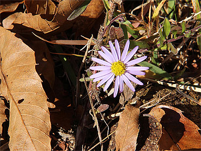 c0152779_13202245.jpg