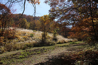 c0152779_1348238.jpg