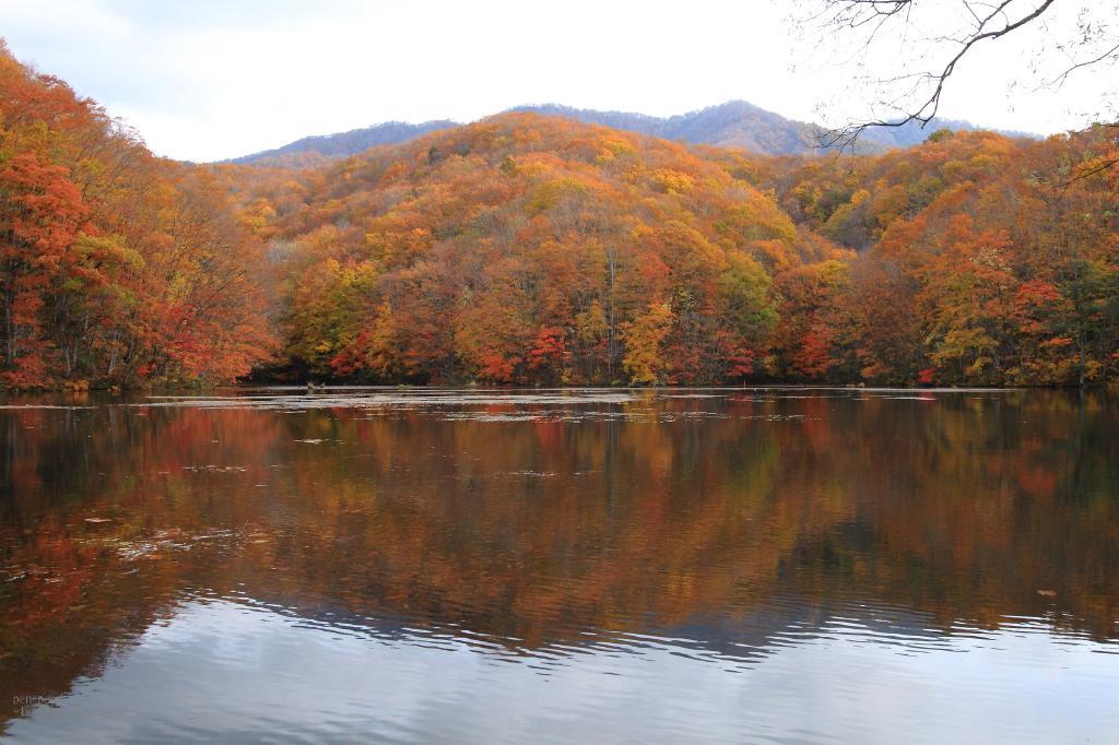 c0356480_19260777.jpg