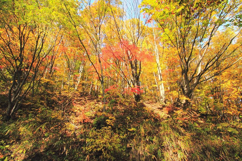 c0356480_20525331.jpg