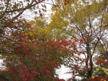 f0053885_1925556.jpg