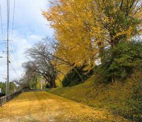 f0064397_18135714.jpg