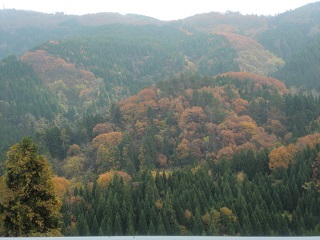 f0064397_1885374.jpg