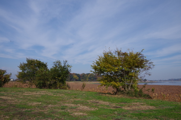 b0356401_20395995.jpg