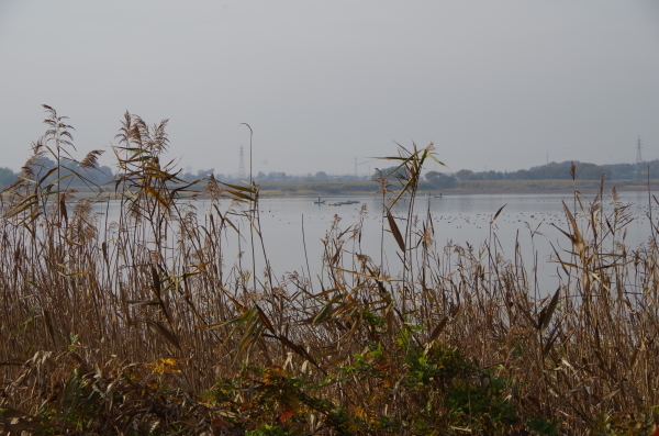 b0356401_20401410.jpg
