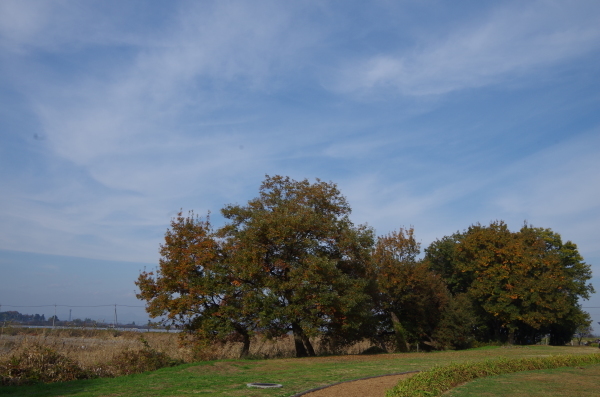 b0356401_20405058.jpg