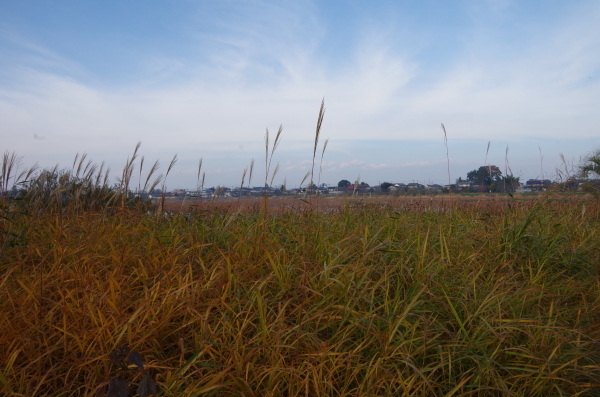 b0356401_20414677.jpg