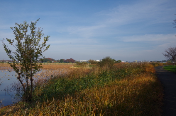 b0356401_20422449.jpg