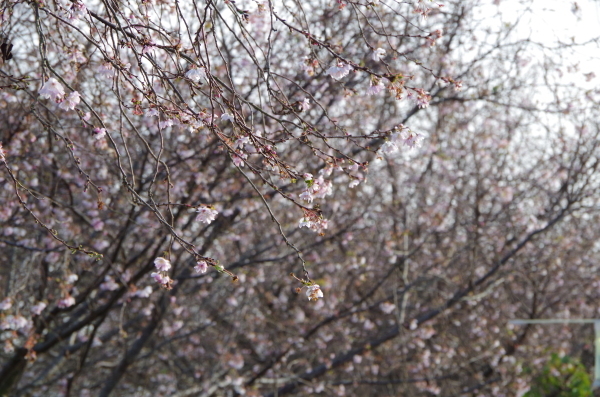 b0356401_20433875.jpg