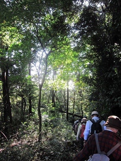 e0245404_1831378.jpg