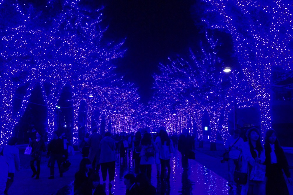 b0112909_20295396.jpg