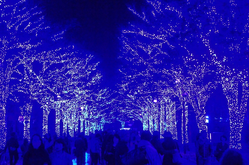 b0112909_20311331.jpg