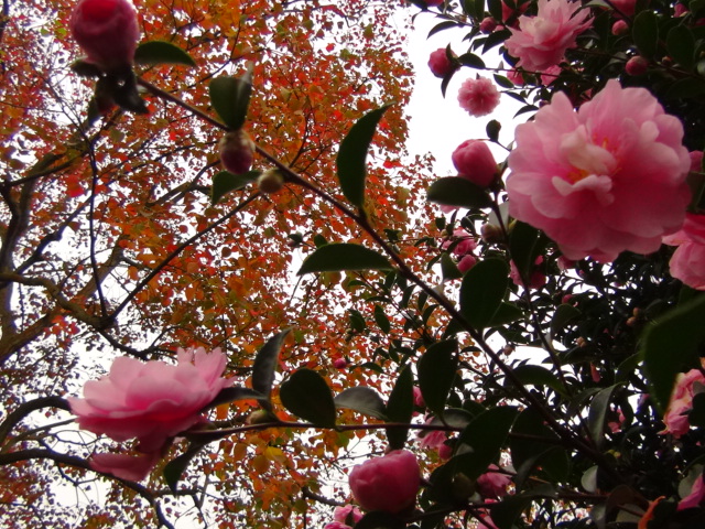 f0231709_0124044.jpg