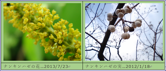 f0231709_0171841.png