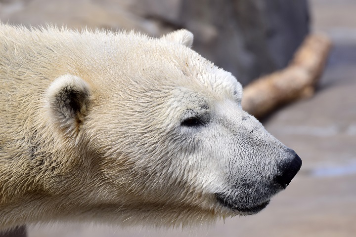 a0151913_35057.jpg