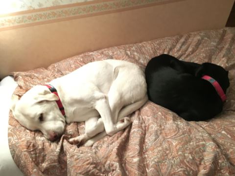 c0114121_2330154.jpg