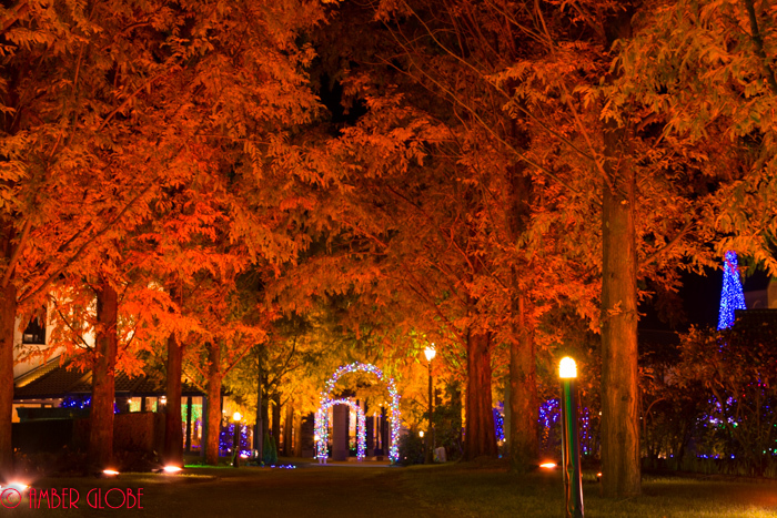 e0201121_23275742.jpg