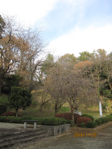 e0244621_10041154.jpg