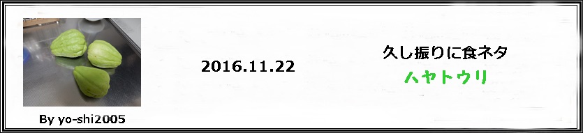 e0033229_1842560.jpg