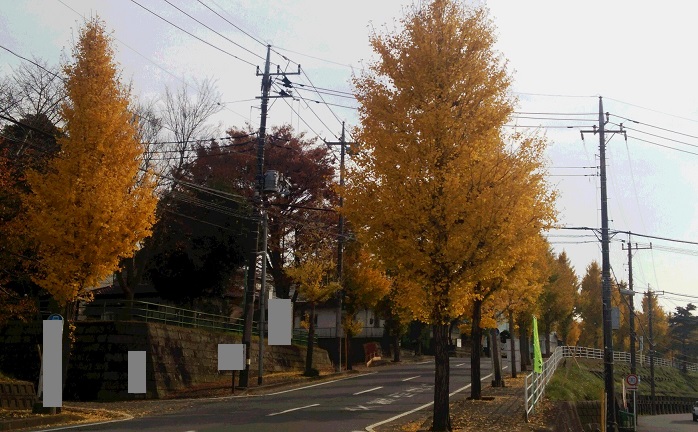 f0002833_10543275.jpg