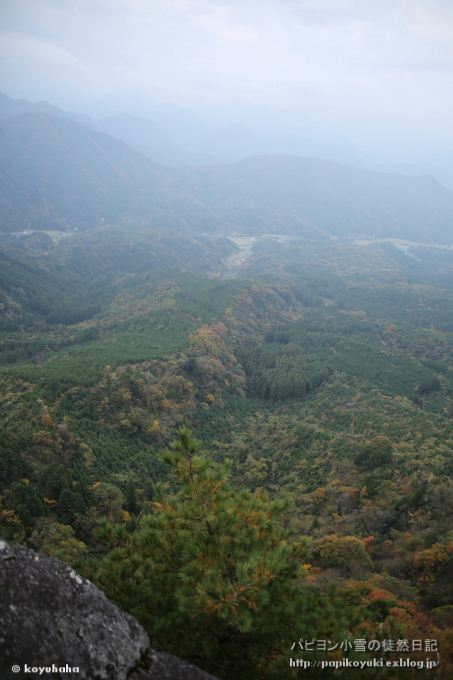 d0140234_20541542.jpg