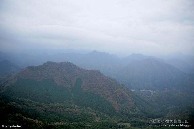 d0140234_20550475.jpg
