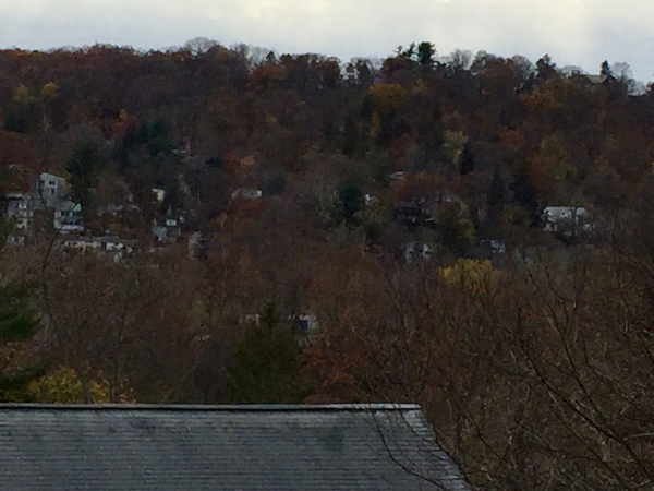 a0224537_413265.jpg