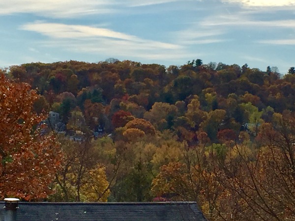 a0224537_4185429.jpg